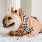 Frenchie Dog Hoodie - Tan Tartan
