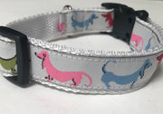 Multi Color Dachshunds Collar