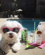Dog Sunscreen With Aloe Vera Moisturizer