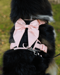 Load image into Gallery viewer, Wander! Bow Harness Ballerina
