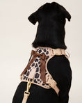 Load image into Gallery viewer, Wander! Bow Harness 2.0 - Leopard
