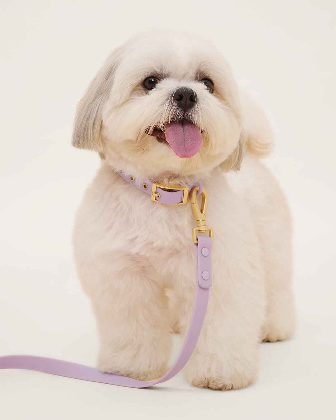 Wander! Waterproof Collar - Lilac