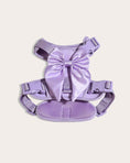 Load image into Gallery viewer, Wander! Bow Harness Lilac
