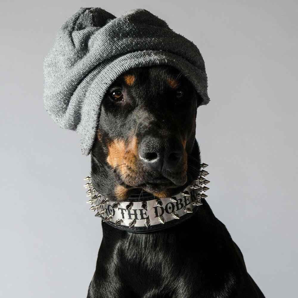 The "Metal" collar- personalized!