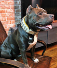 Load image into Gallery viewer, "Silver Giant" collar White
