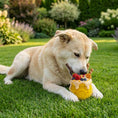 Load image into Gallery viewer, Honey Pot Dog eCup Treat Dispenser | Durable PUP-X Rubber Enrichment Toy | USA Made
