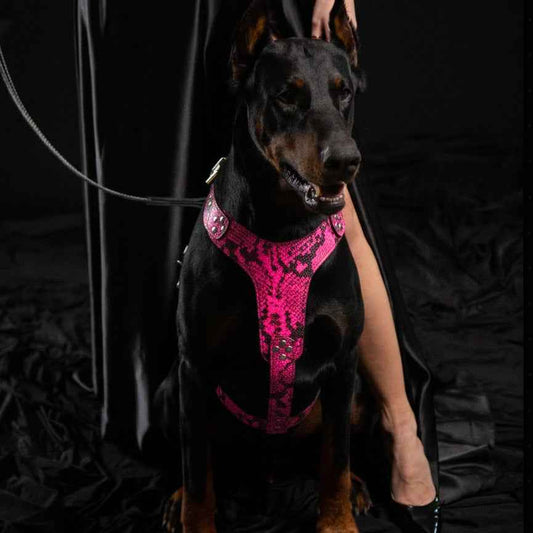 The ''Rock Python'' Dogs and pets harness PINK