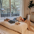 Load image into Gallery viewer, Pillow Lounger - Faux Fur
