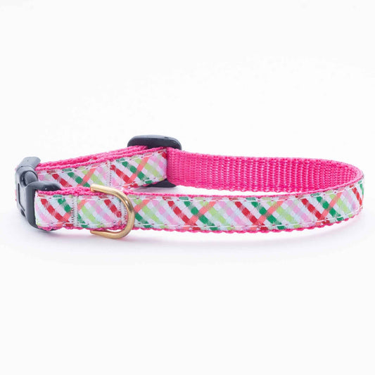 Up Country Gingham All the Way Small Breed Dog Collar Made in USA