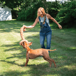 Twisty Giraffe Dog Toy