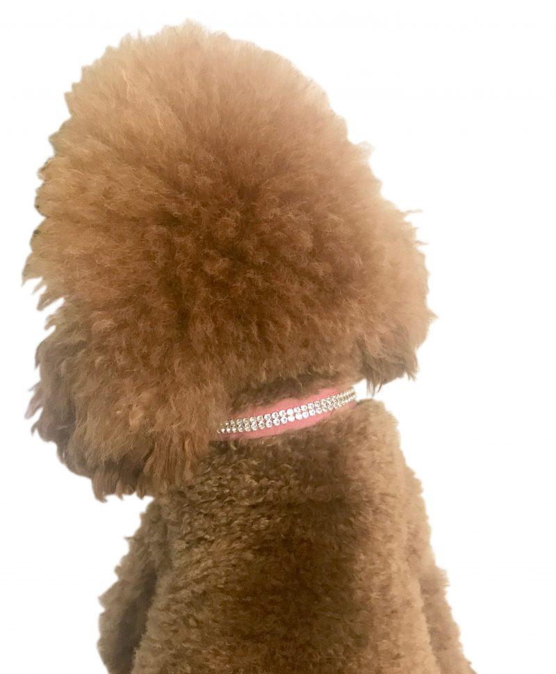 Glamour Girl Ultrasuede Collar w/ Swarovski Crystal, Bubblegum 