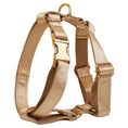 Load image into Gallery viewer, Gold Satin Wedding Set
