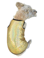 Gold Stardust Tank Top