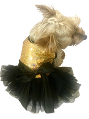 Gold Stardust Tutu Dress