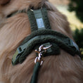 Load image into Gallery viewer, 'Moss Green' - Sherpa Dog Harness
