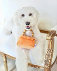 Load image into Gallery viewer, BARKIN BAG - Southlake Paws
