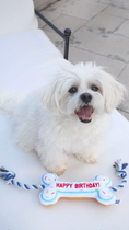Load image into Gallery viewer, BIRTHDAY BONE - Southlake Paws
