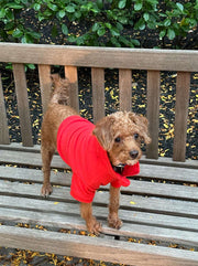 Comfort 1/4 Zip Sweatshirt 