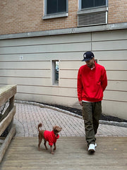 Comfort 1/4 Zip Sweatshirt 