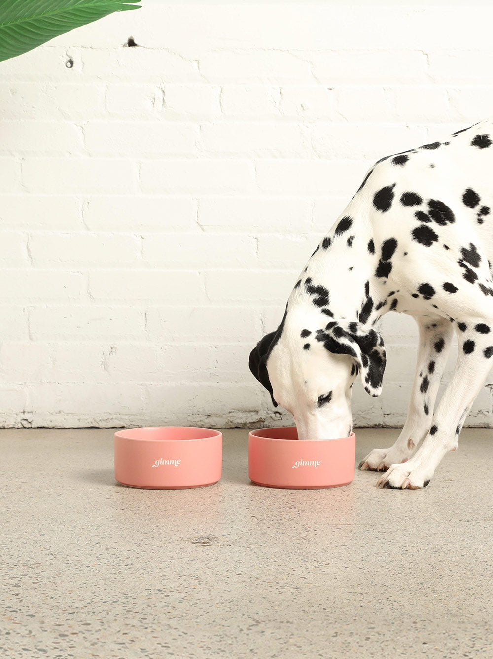 Ceramic Dog Bowl - Southlake Paws
