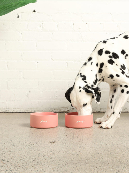 Ceramic Dog Bowl 