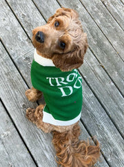Trophy Dog Sweater 