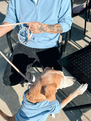 Comfort 1/4 Zip Sweatshirt 