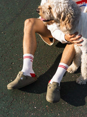 Dog Friendly Sock 
