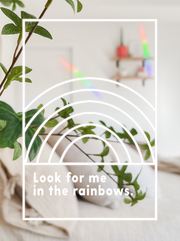 Look For Me In The Rainbows Suncatcher™ 