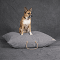 Load image into Gallery viewer, Dog Beds Premium Gray Waxed Cotton Canvas Dog Bed
