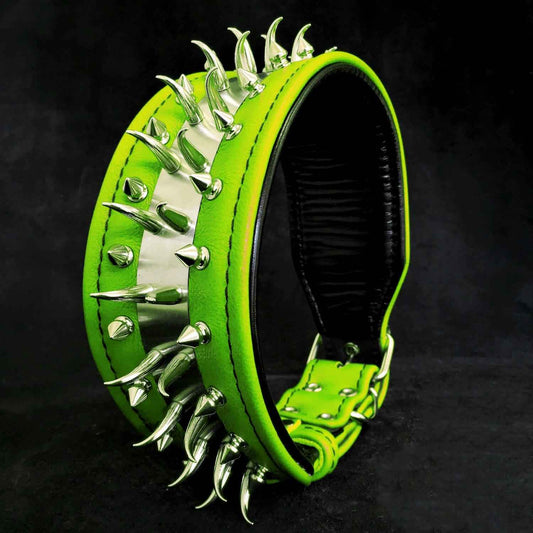 'Predator'' collar in Green