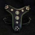 Load image into Gallery viewer, The ''Bijou'' harness Black & Green Small to Medium Size
