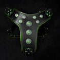 Load image into Gallery viewer, 'Bijou'' harness Black & Green for big dogs
