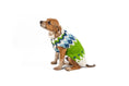 Load image into Gallery viewer, Spring Ski Bum Dog Sweater
