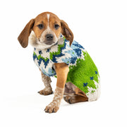 Spring Ski Bum Dog Sweater