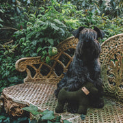 Green cotton dog gift toy