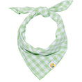Load image into Gallery viewer, Spring Green Gingham Dog Bandana
