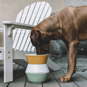 Yellow and white ceramic dog bowl