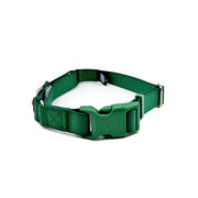 Martingale Dog Collar