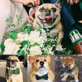 Load image into Gallery viewer, Velvet Forest Teal Set
