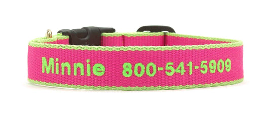Up Country Color Market - Wide Cast Brass Dog Collar