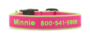 Color Market Dog Collar - Wide