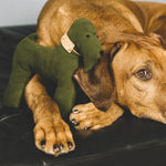Green cotton dog gift toy
