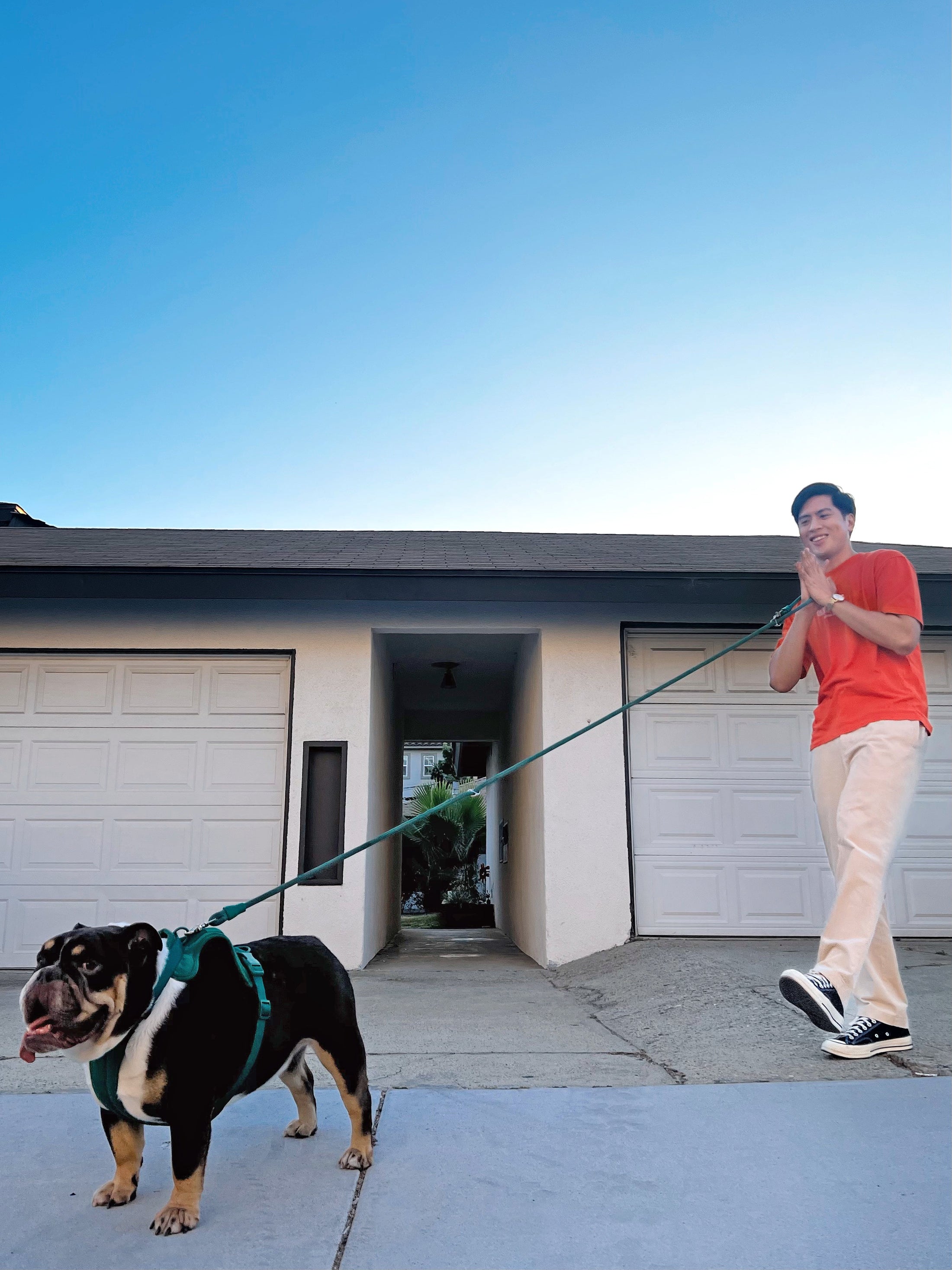 Kismet Dog Leash - Southlake Paws