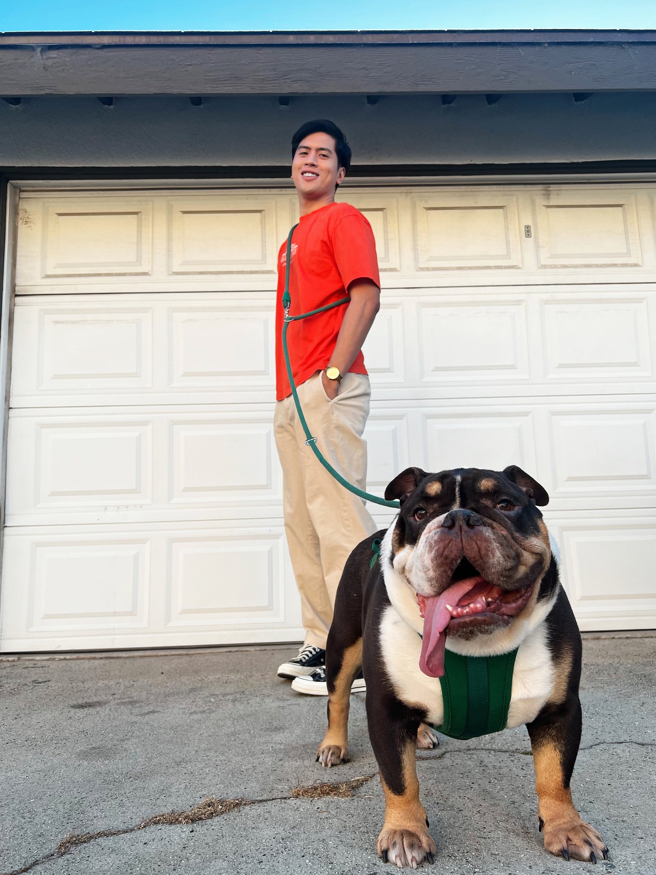 Kismet Dog Leash - Southlake Paws