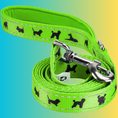 Load image into Gallery viewer, EcoBark Green Dog Leash- Padded Comfort Grip Leash - 4ft, 5ft, and 6ft Dog Leash for Small and Medium Dogs
