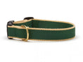 Load image into Gallery viewer, Color Market Dog Collar - Wide
