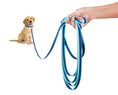 Load image into Gallery viewer, Up Country Color Market Training Cast Brass Pet Accessory
