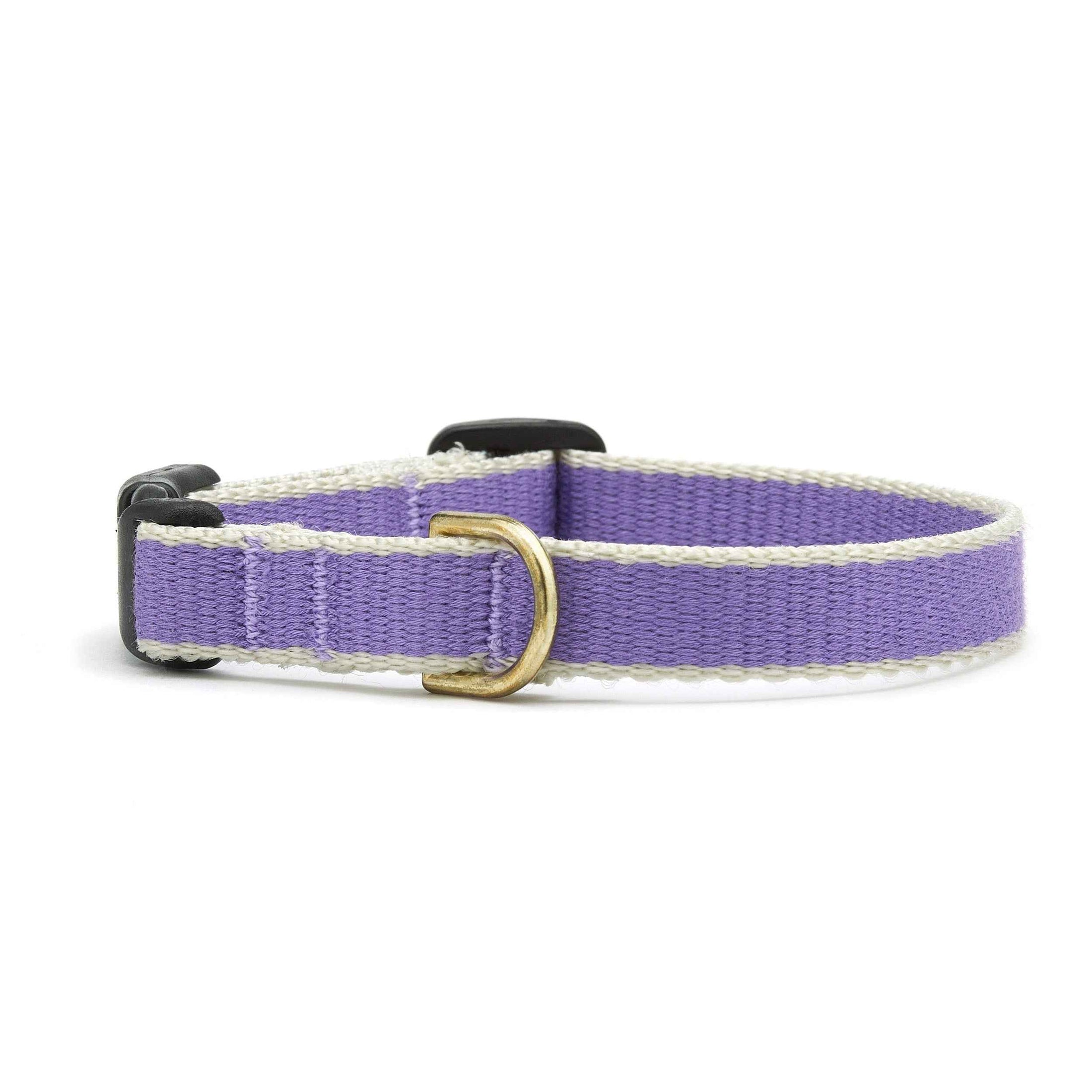 Up Country Color Market Small Breed Dog Collar Made in USA