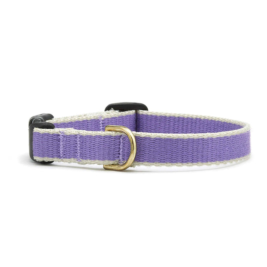 Up Country Color Market Small Breed Dog Collar Made in USA
